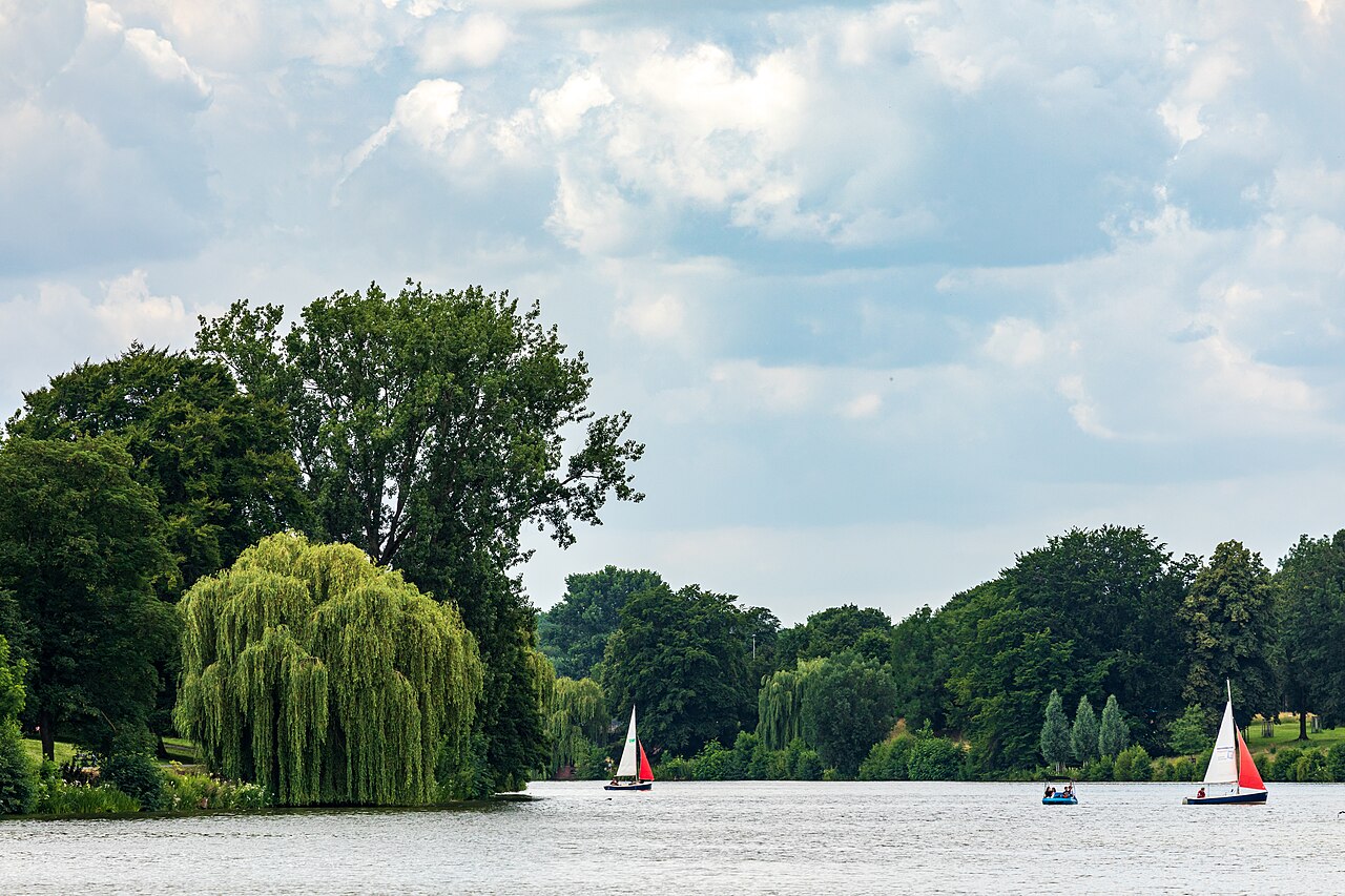 Segelboote vor dem grünen Ufer des Aasees in Münster